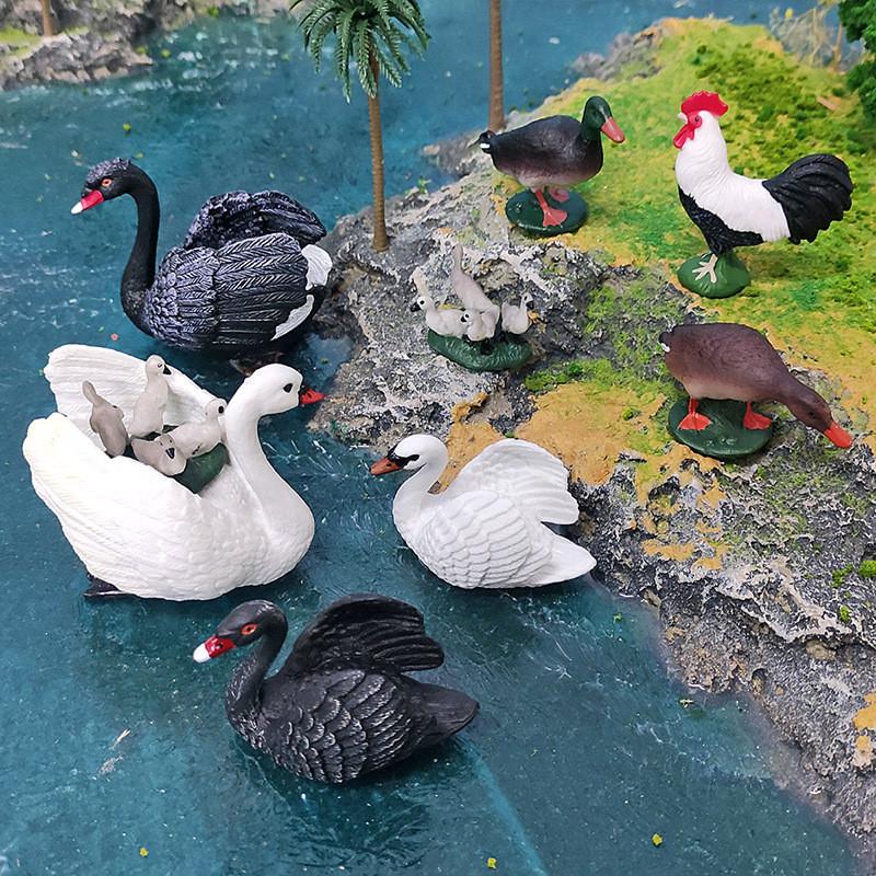Realistic Figures Animal Model With Ducks Rooster Swans For Decorative Display