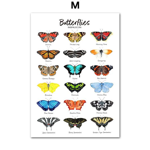 Насекомые, птицы, бабочки, сафари, образовательные плакаты с животными и принты, холст, украшение для детской комнаты, домашние картины, детская комната