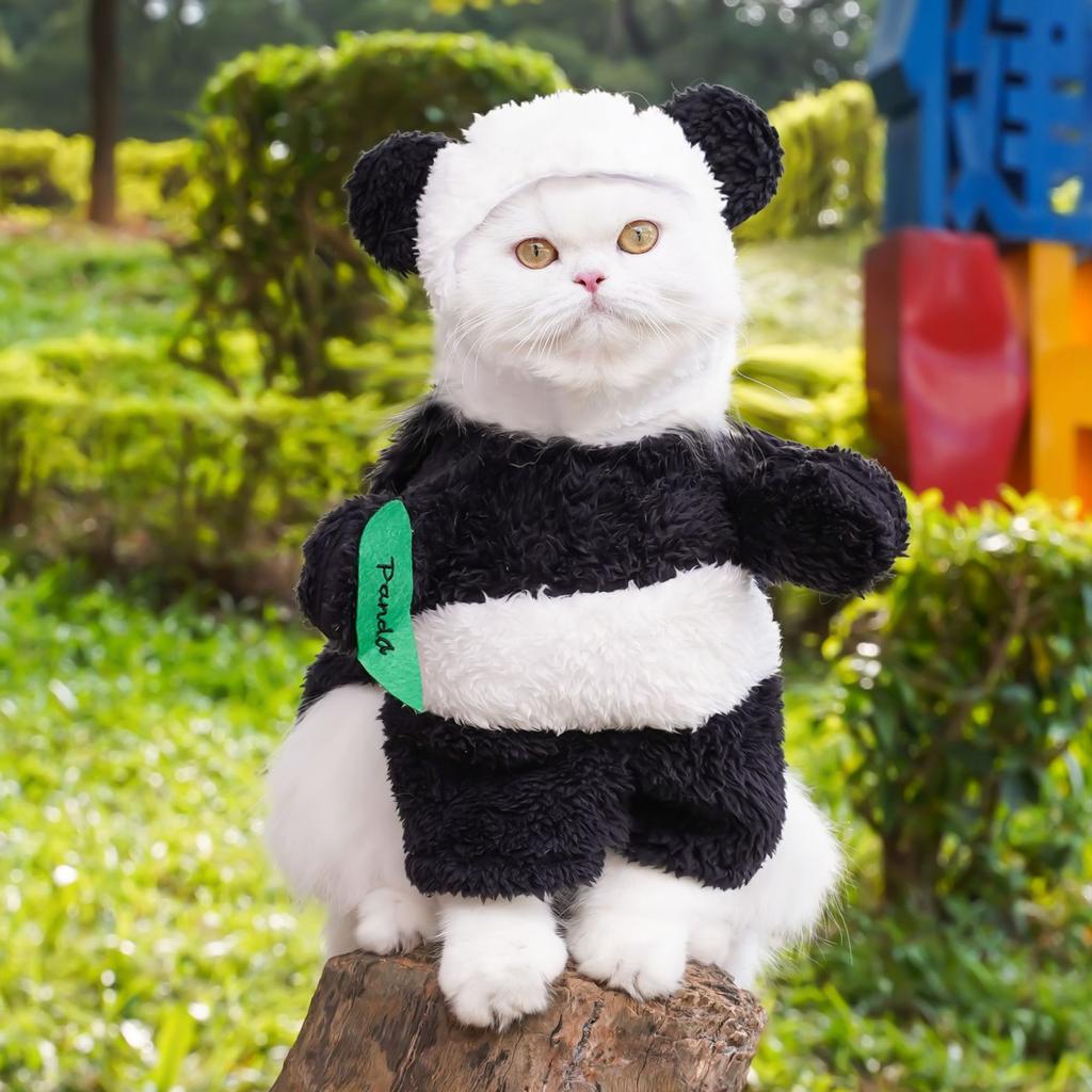Одежда для домашних животных Panda Standing Transformation Weird Funny Teddy Bigbear Dog Cat Clothing