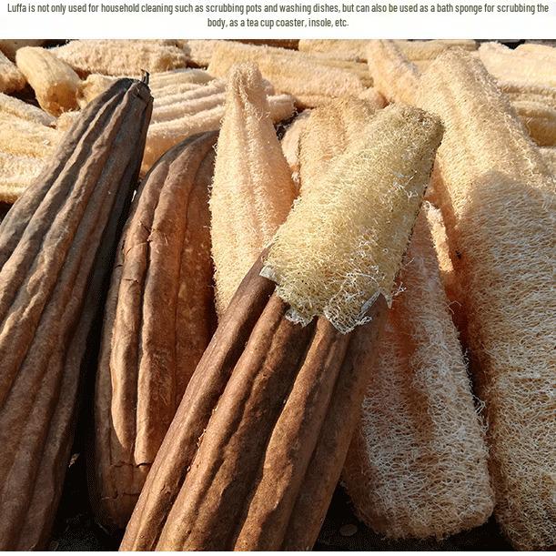 Loofah Dishwashing Brush & Sponge - Non-Stick Oil Remover for Pots and Dishcloths