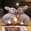 Toy Rabbit Plush Cartoon Stuffed Doll Animal Room Decoration Kids Cute Gift