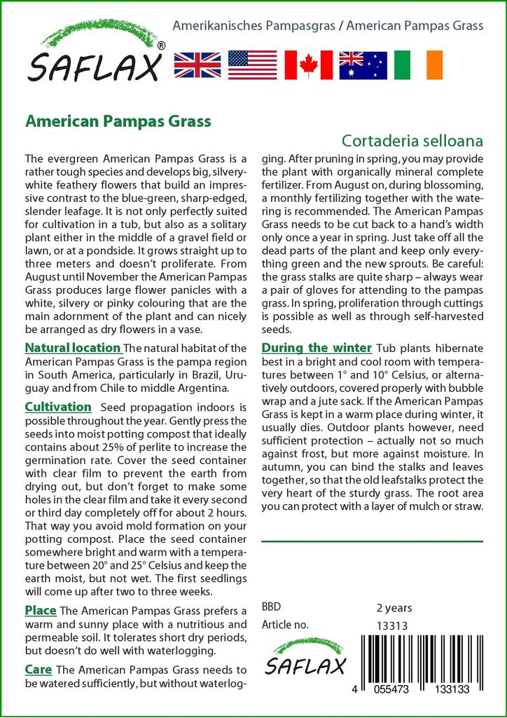 SAFLAX Garden in the Bag - Трава американской пампасы - 200 семян - С субстратом в подходящем мешке - Cortaderia Selloana