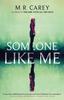 The Someone Like Me Book