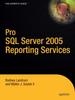 Книга Pro SQL Server 2005 Reporting Services