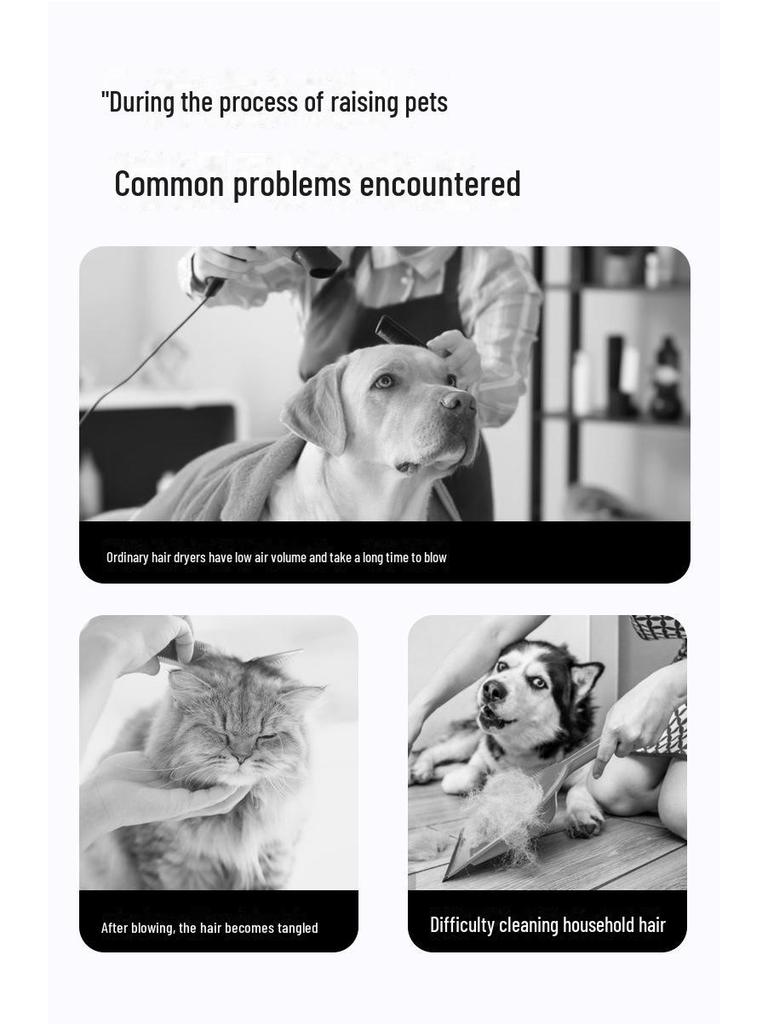 Многофункциональный фен для домашних животных Chaolun с функцией обдува и всасывания