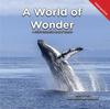 Книга A World of Wonder : A Child's Interactive Book of Wonder