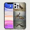 Bugs Bees Scientific Decomposition Phone Case for Apple iPhone 17 Air 16 15 Plus 14 + 13 Mini 12 11 Pro Max 7 8 SE 16Max Soft Sh