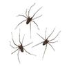 Giant Spider Earrings Halloween Carnival Stud Earrings