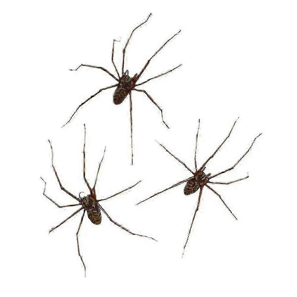 Giant Spider Earrings Halloween Carnival Stud Earrings