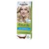 PALETTE TEINTURE NATURELLE #12.1 - Blond Extra Clair Cendré 1 U