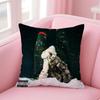 Hot Mellow RB Canadian Singer PPARTYNEXTDOOR Cushion Cover Pillow Case Soft Skin Friendly Fabric  Concealed Zipper