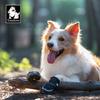 Truelove Обувь для животных Подошва Vibram Светоотражающая Прочная Противоскользящая Мягкая Сетка Нейлон  Удобная  Для улицы НОВИНКА  2/4 шт. Тренировочная TLS4862
