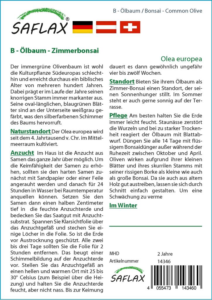 SAFLAX Garden in the Bag - Бонсай - Олива обыкновенная - 20 семян - С субстратом в подходящем пакете - Olea europea