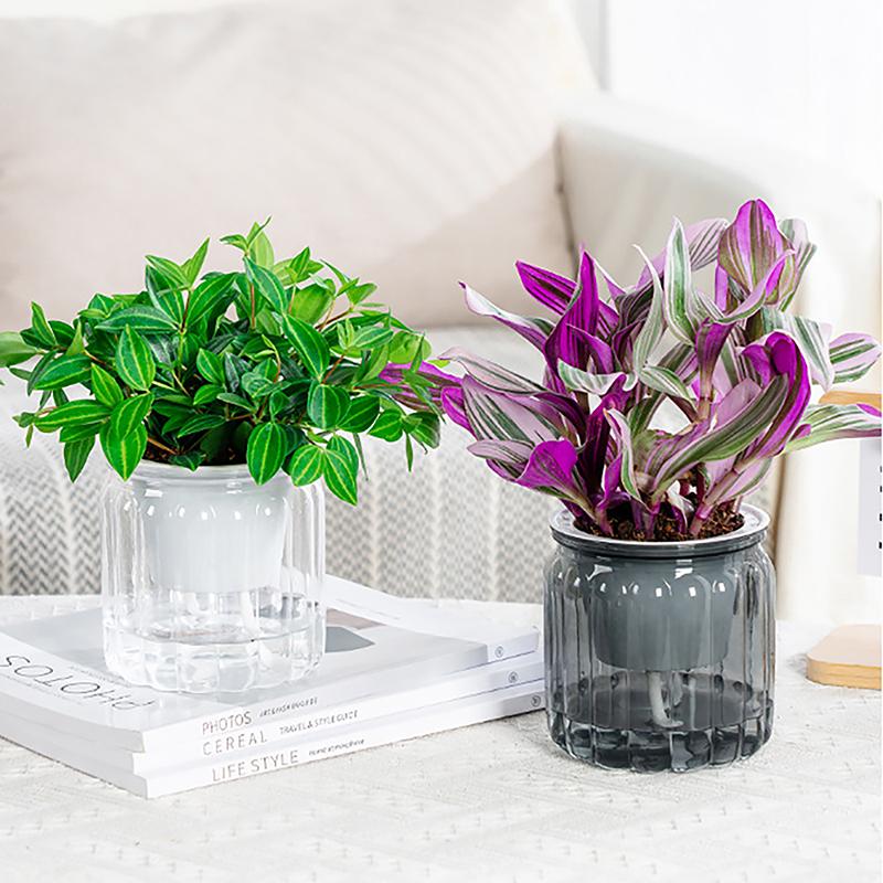 Круглые самополивающиеся цветочные горшки гидропонный горшок для растений ваза самопоглощающий водоем для домашнего бонсай настольный декор