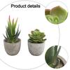 Мягкий ПВХ Материал Искусственные Суккуленты Домашний Декор Горшечные Растения