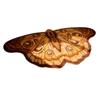 Nostalgie Colorful Butterfly Rug, Vintage Irregular Moth Shaped Floor Mat, Soft Fluffy Washable Area Rug for Living Room Bedroom Entryway Bathroom
