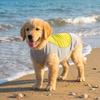 Breathable Mesh Pet Cooling Shirt Ice-Silk Pet Cool Clothes Dog Cooling Ice Vest  Beach Travel
