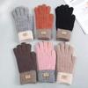 Women Warm Thick Plush Knitted Gloves Touch Screen Men Women Fashion Autumn Winter Keep Warm Riding Skiing Outdoor Gloves