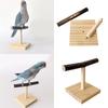 Parrots Stand Scratchers Perch Stands Bird Stands Wood Stick Stand Branch Stand Multifunctional Standing