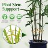 Monstera Plant Stabilizer Metal Plant Stem Holder Indoor Plant Support Stem Stabilizer for Garden Flowers Potted Plants Thriving Growth