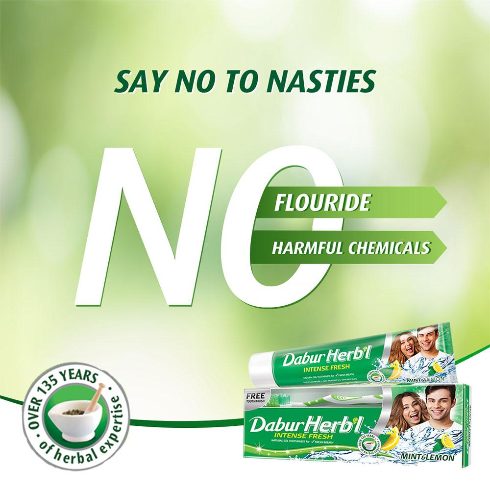 Травяная Интенсивная Свежесть Гелевая Зубная Паста + БЕСПЛАТНАЯ Зубная Щетка - Мята и Лимон - Dabur HERB'L