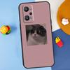 Розовый Эстетичный Милый Кот Животное Для Realme GT7 Pro GT 6T 6 5 C67 C61 C55 C53 C51 C21Y C25S C75 10 11 12 13 14 Pro Plus Чехол
