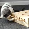 Funny Cat Hunt Puzzle Toy Wooden Maze Pet Hit Hamster Catch Bite Interactive Toys With 5-holed Mouse Holes Cats Toy Pet Supplies
