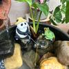 Yousheng Resin Fishing Frog Statue Garden Pond Decoration Pond Angler Mini Panda Figurine for Outdoor Landscape Aquarium Fish Tank Decoration