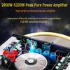 Songchuan International SP101 KTV Professional Audio System CN plug (adapter included)