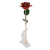 Preserved Rose 24K Gold Plated Bright Luster Rich Details Exquisite Gold Dipped Rose for Birthday