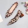 Breathable Leopard Mesh Ballet Low Heels Pointed Toe Slip On Casual Loafers Female Boat Shoes Moccasins Walking Shoes 2024