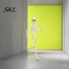 Poseable Halloween Prop 3ft Life Size Skeleton, Full Body Posable Plastic Skeleton Prop, Realistic with Movable Jaw Human Bones Model for Yard