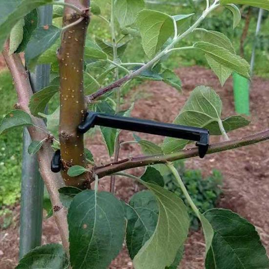 10Pcs Fall-resistant Branch Fixator Anti-sagging Universal Apple Tree