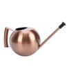 Watering Can with   Spout 1000ml Stainless Steel Round Indoor Plant Watering Can with Detachable Head for Home Garden Flower
