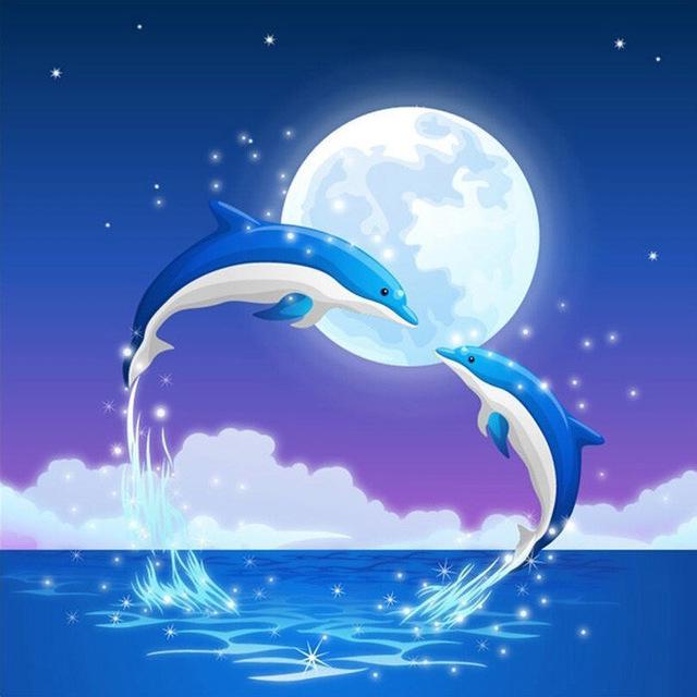 5D Алмазная картина Полный круглый дрель Дельфин Алмазная вышивка Животное Вышивка крестом
