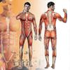 Halloween Cosplay Costumes Suit Fashion 3D Muscle Definition Skin Print Men Costume Jumpsuit Sexy Bodysuits