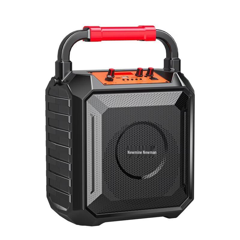 Портативный Bluetooth-динамик KTV Newmine K220, штекер CN (адаптер в комплекте)