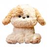 Cute Wrinkled Velvet Sitting Puppy Plush Toy Children's Sleeping Doll Grab Machine New Style