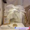 USB-Charging Ostrich Feather Night Lamp - Warm, Atmospheric Light for Bedroom