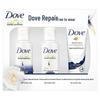 Dove Intensive Repair Travel Kit
