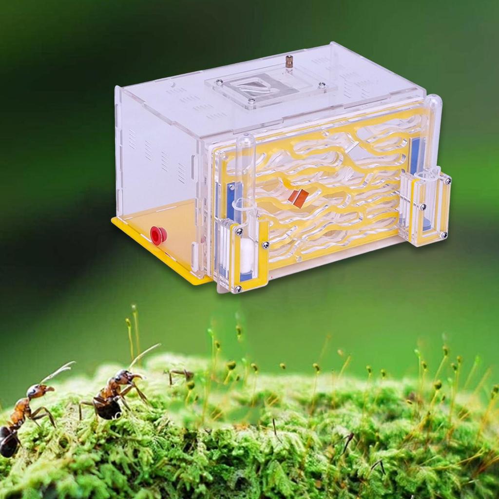 Домик Nest Farm Среда обитания Инкубатор для разведения на День рождения Дом День защиты детей