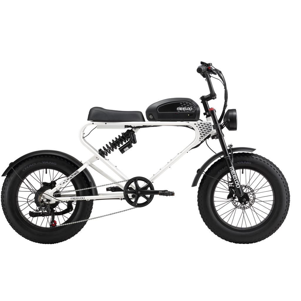 MEELOD DK300PLUS Adult Electric Bicycle 750W Motor 48V20Ah Battery Electrical Road Bike 20" Fat Tire Retro Urban Commuting Mountain E-Bike