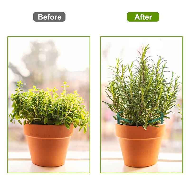 2-12PCS Plant Support Pile Garden Semicircle Flower Stand Cage Plant Grow Fixing Rod Vine Climbing Bracket Stake Holder Bonsai Tool