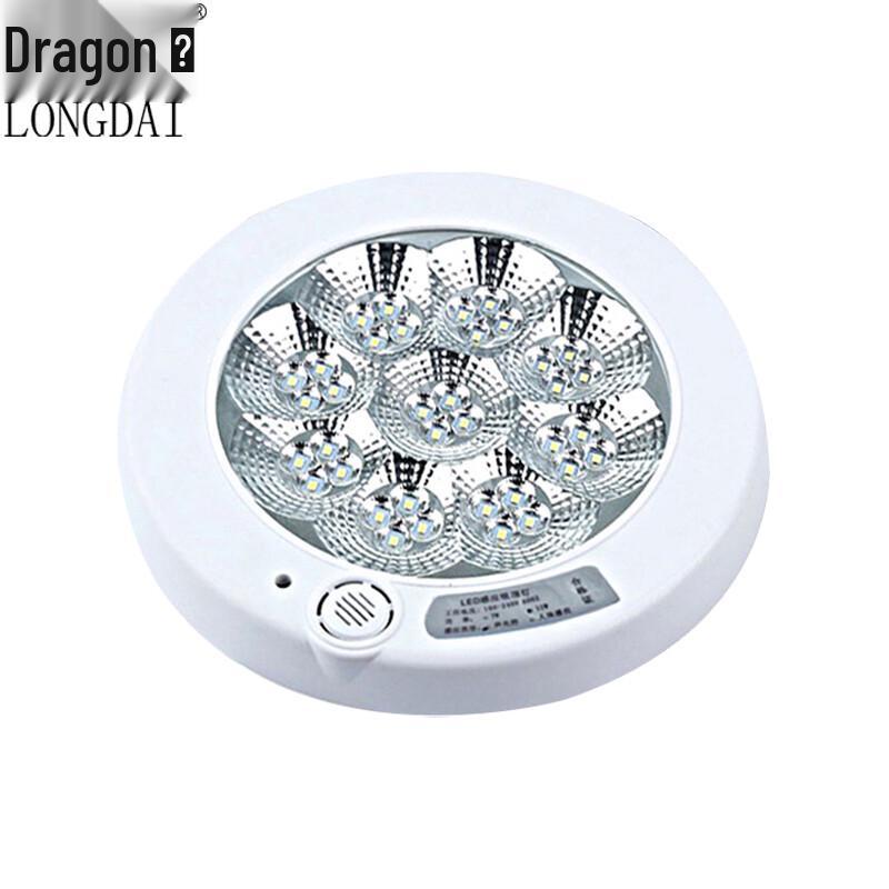 Longdai LED Smart Sensor Ceiling Light for Corridors