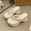 Small Thick-soled High-heeled Flip-flops Women's Shoes 2025 Summer New Fashion Women's Wedge Heel Waterproof Table Sandals