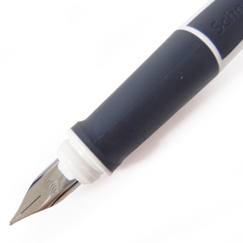 Schneider Ray Series Fountain Nib Ink Includes 1 Ink Body RYFP168124F Pen, Size F/Fine, Color Black, Cartridge, Color White/Gray,
