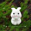 Micro Landscape Cute Cartoon Mini Carrot Rabbit Horticultural Resin Ornaments Bonsai Animal Decoration