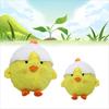 Плюшевая игрушка-подушка «Курица Дайдай» для молодежи