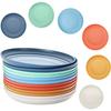 Reusable Plastic Plates Set Of 9 Dishwasher & Microwave Safe Plastic Dinner Plates Lightweight Plates For Sticky Rice Holder