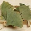 Organic Ginkgo Biloba Leaves Tea Chinese Loose Leaf Ginkgo Tea Herbal Green Tea